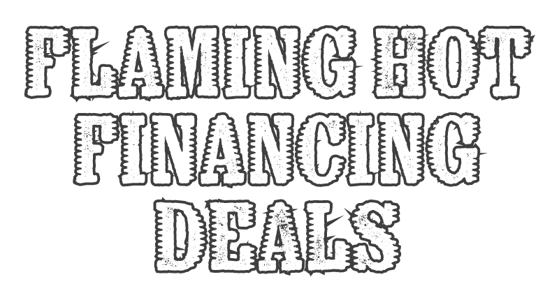 FlamingFinance-LP_Txt-Banner_2023