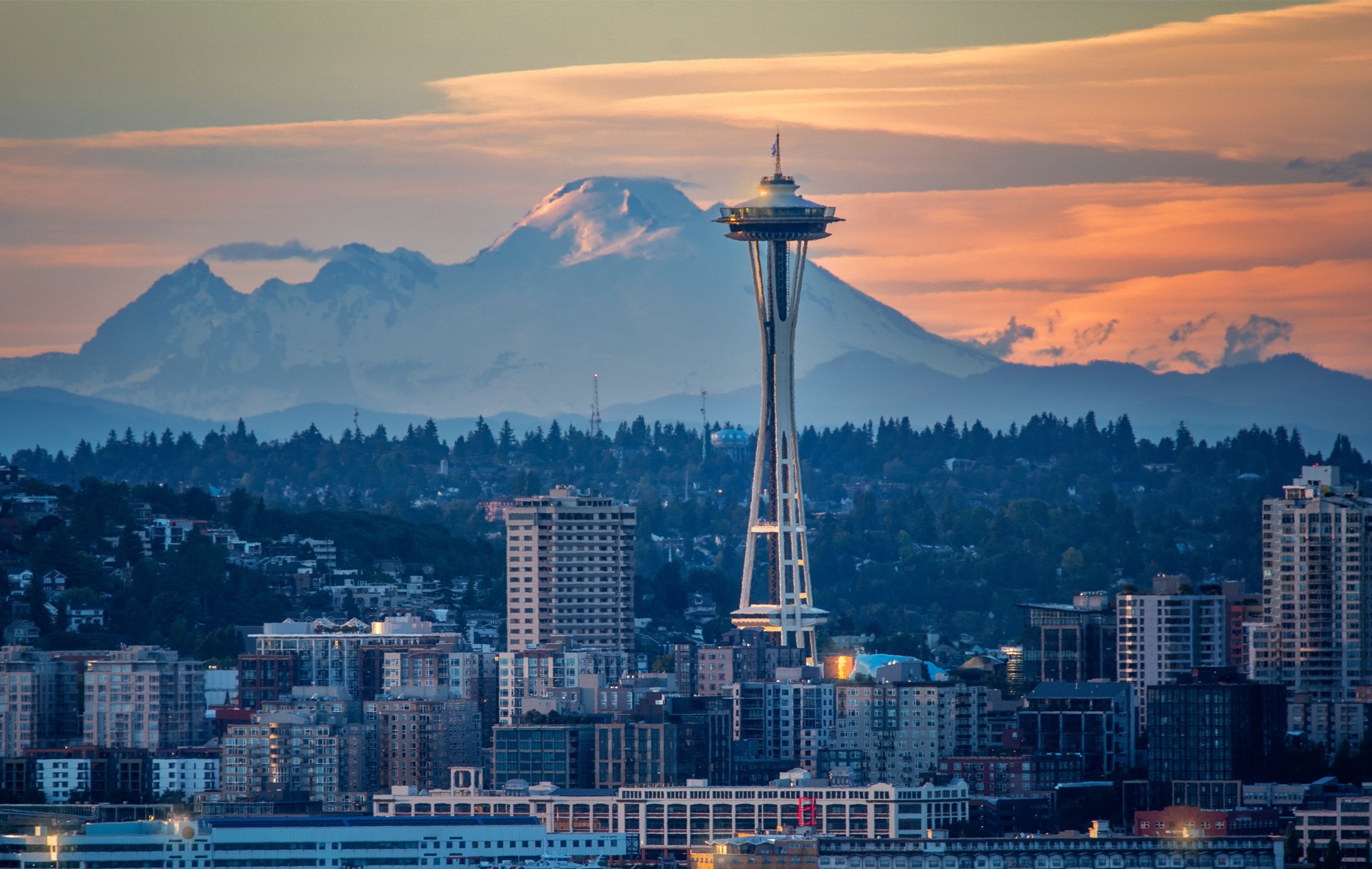 WebBanner_HaasDDay2025-WA