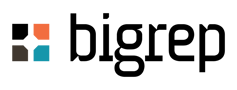 Bigrep_Logo_sm-04