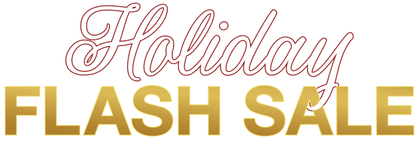 Holiday-flash-sale-2023-element